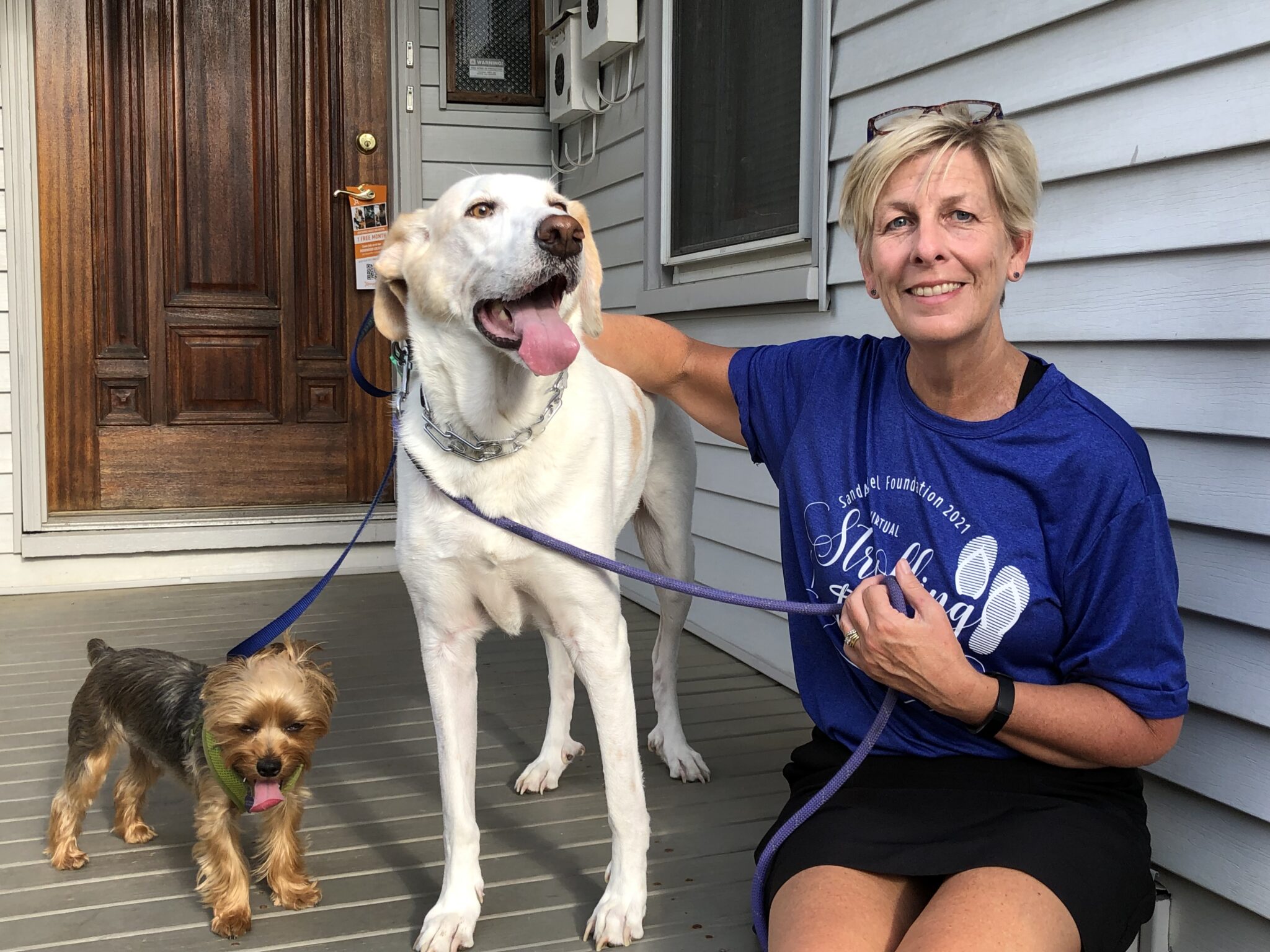 The SandAngel Foundation